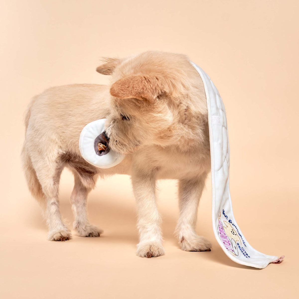 the furryfolks - Toilettenpapier-Nosework-Spielzeug für Hunde - OSSO BLU
