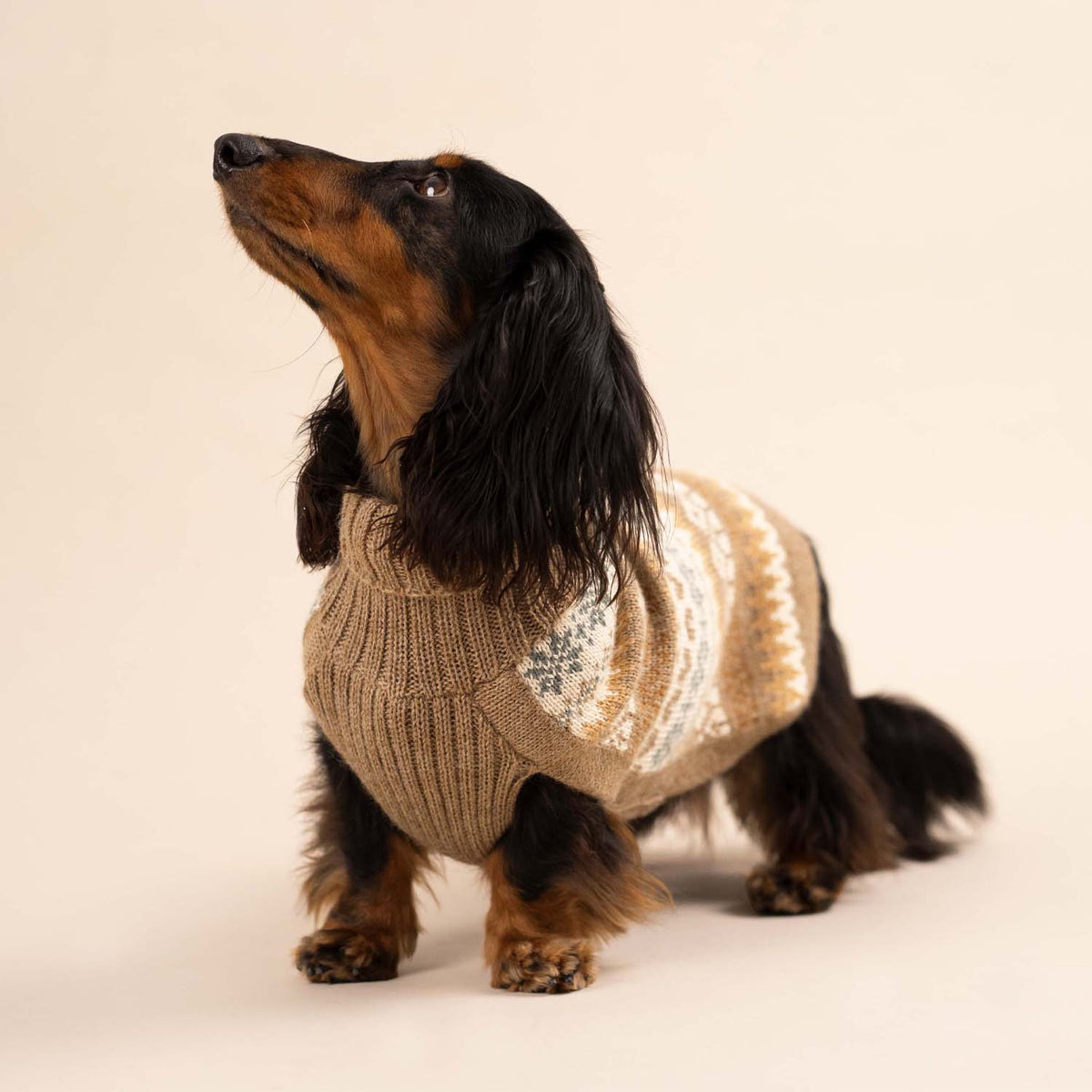 Alqo Wasi - Herbst-Medley Alpaka-Hundepullover: Brown / XS - OSSO BLU
