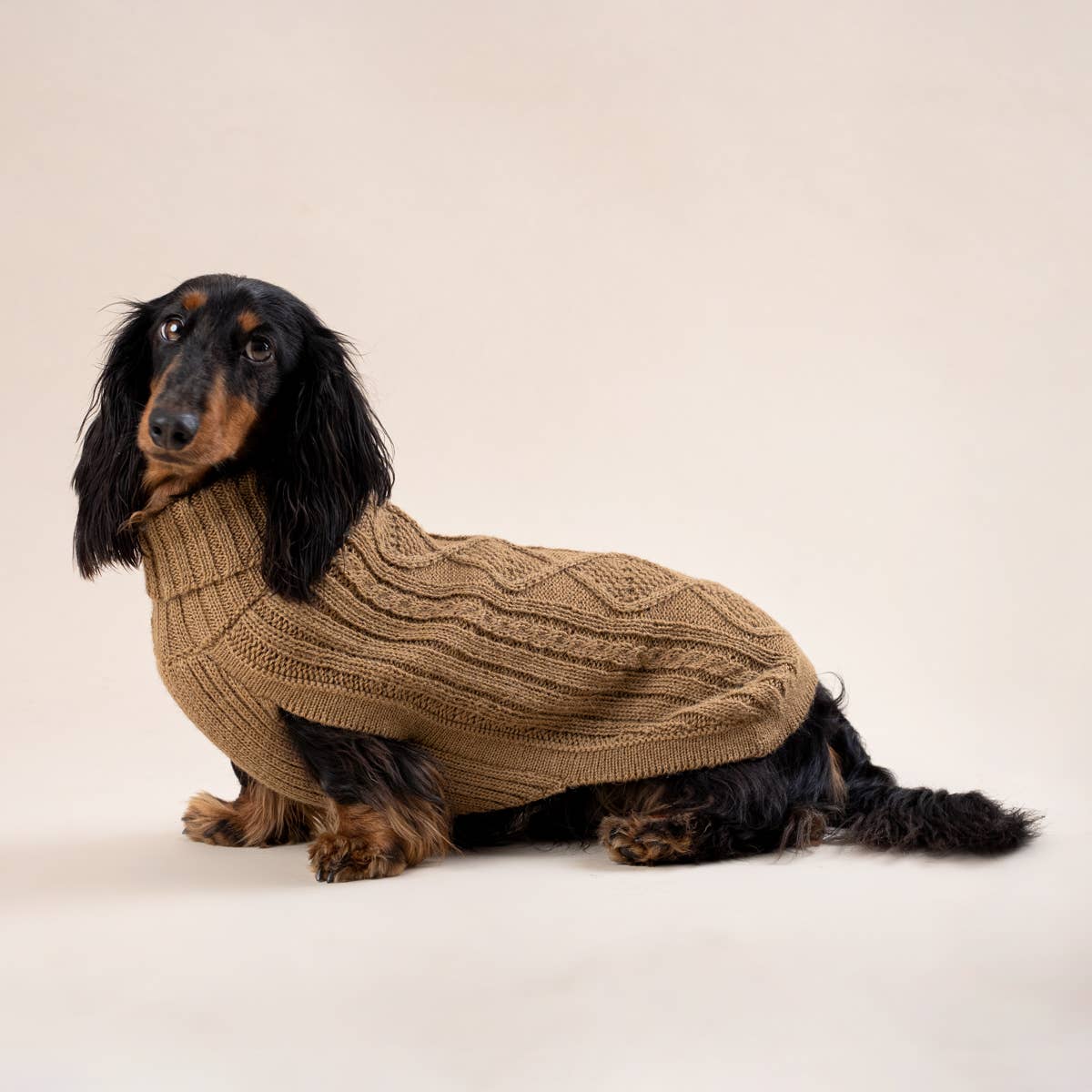 Alqo Wasi - Alqo Wasi Aran-Strick Alpaka-Hundepullover: XS / Camel - OSSO BLU