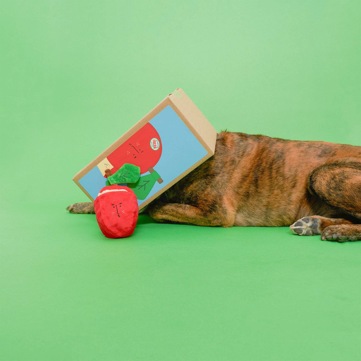 the furryfolks - Apple Nosework-Spielzeug für Hunde - OSSO BLU