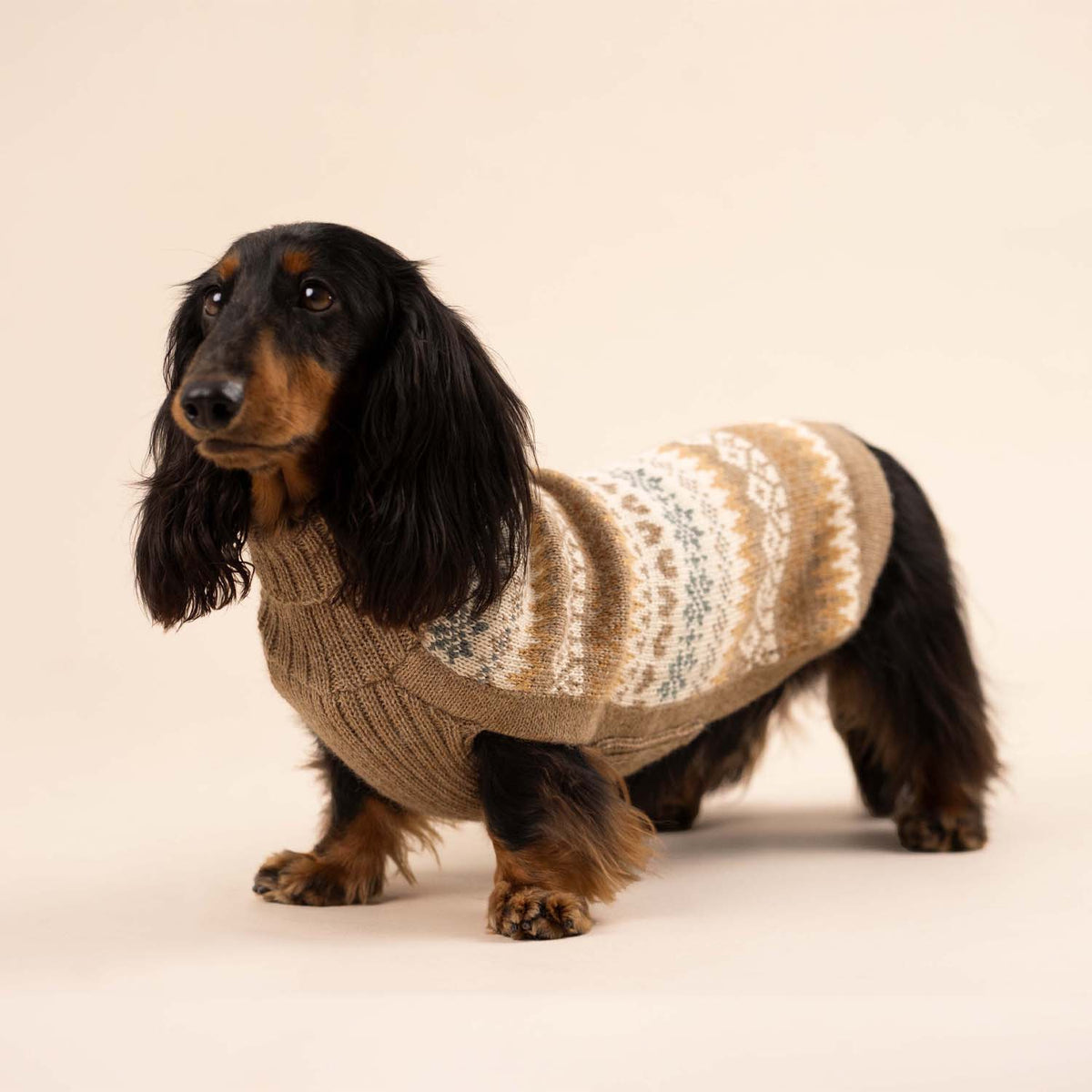 Alqo Wasi - Herbst-Medley Alpaka-Hundepullover: Brown / XS - OSSO BLU