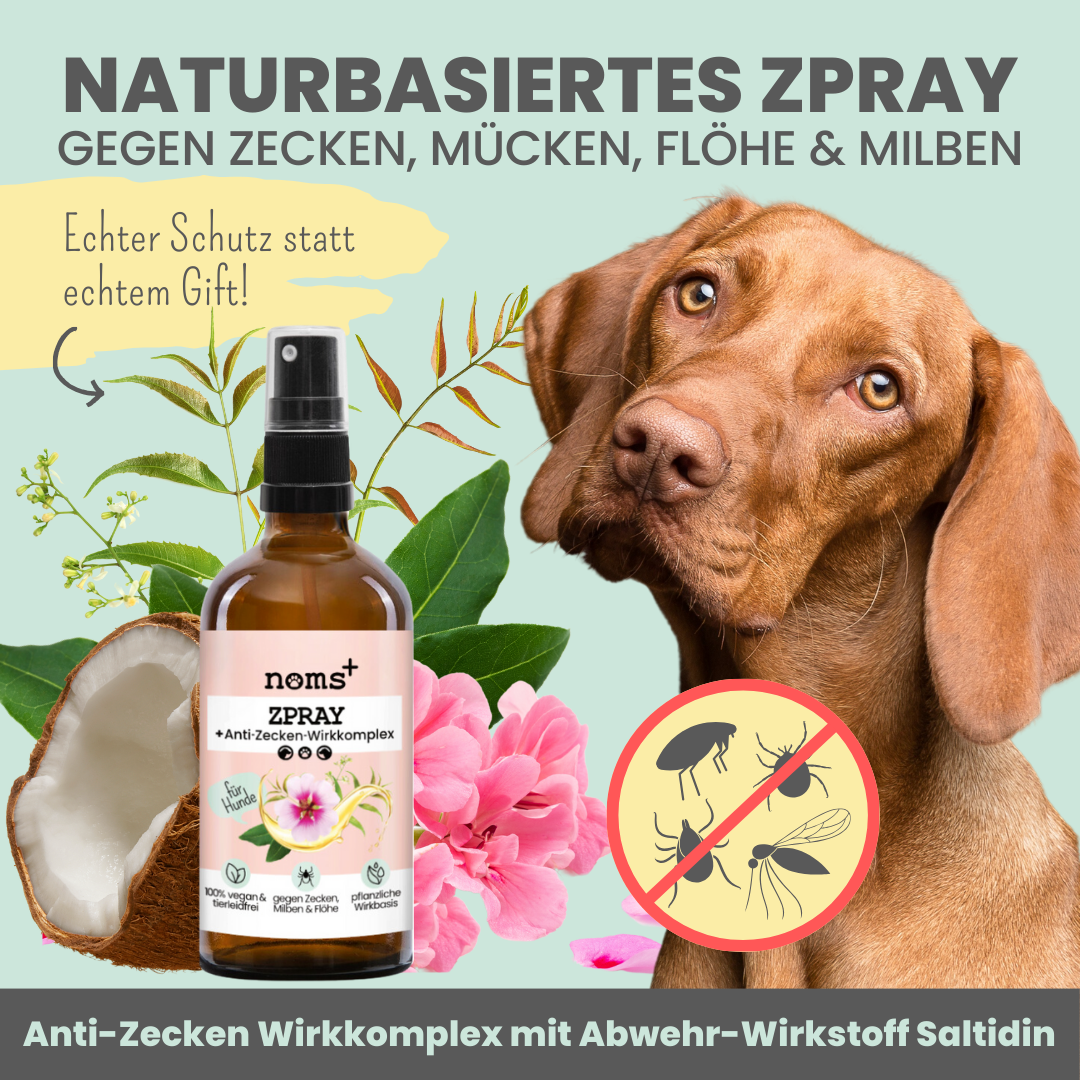 NOMS+ - Zeckenspray für Hunde – Natürlicher Schutz gegen Zecken, Flöhe, Milben & Mücken