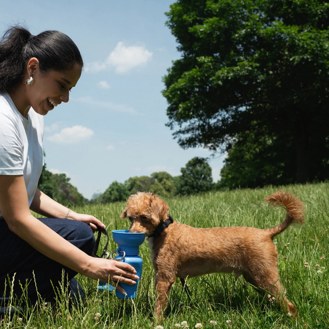 SPRINGER - Reisetrinkflasche für Hunde | Flip 590ml - OSSO BLU