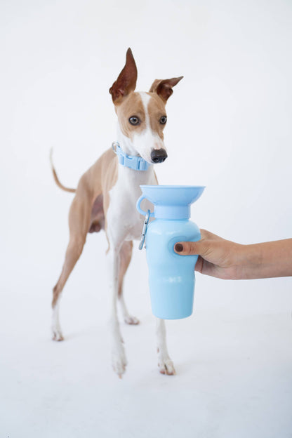 SPRINGLAND PETS – Hundereise-Wasserflasche Classic 650 ml (ohne Silikon-Klappschale) - OSSO BLU