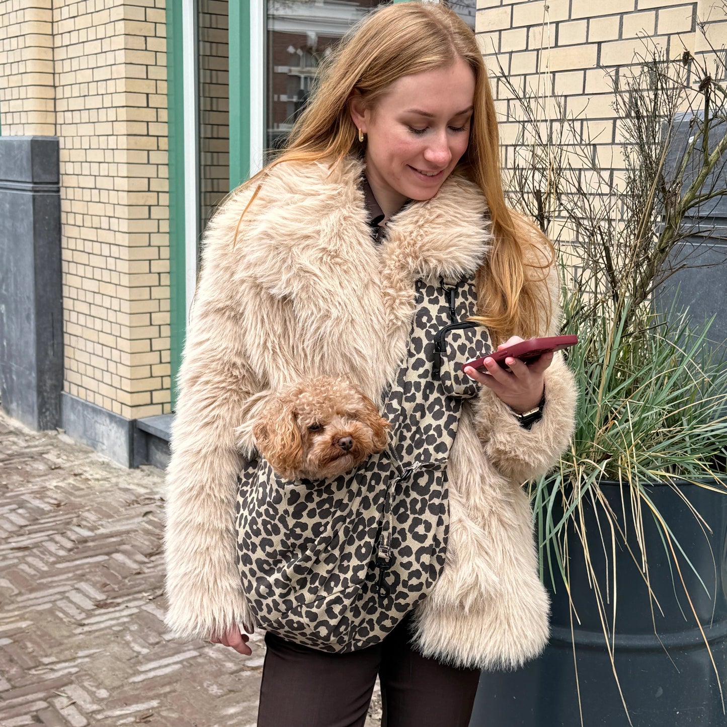 THE DOG LABEL - TDL Canvas Bag 2 – Leopard