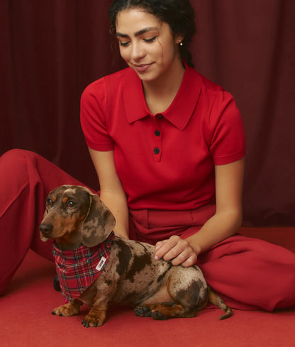 CAFIDE - Hundehalstuch „Royal Stewart Tartan“ – Nata