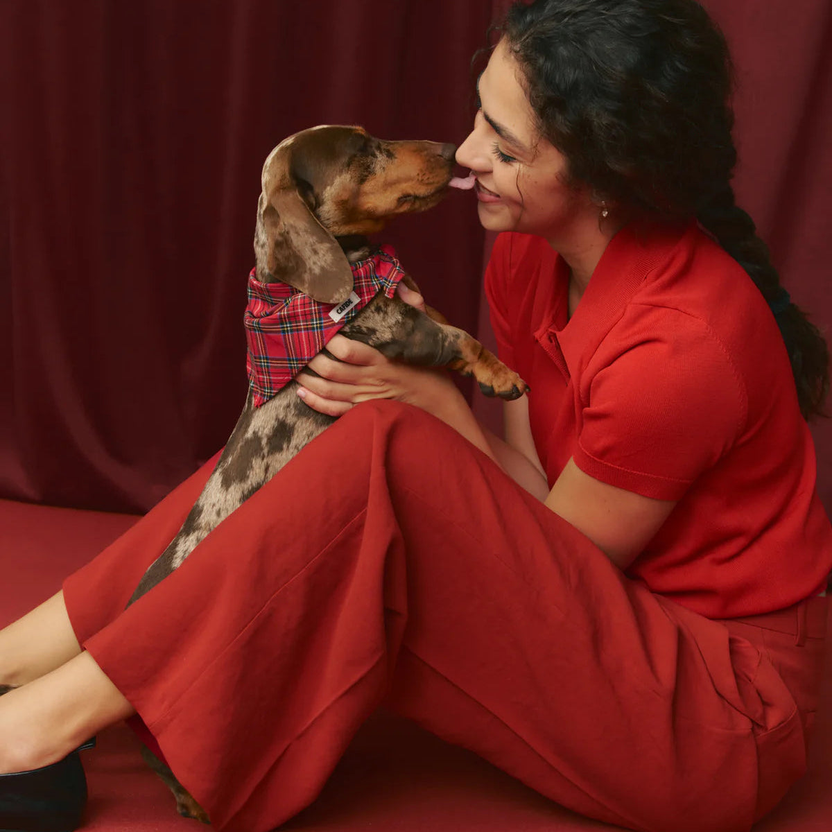 CAFIDE - Hundehalstuch „Royal Stewart Tartan“ – Nata