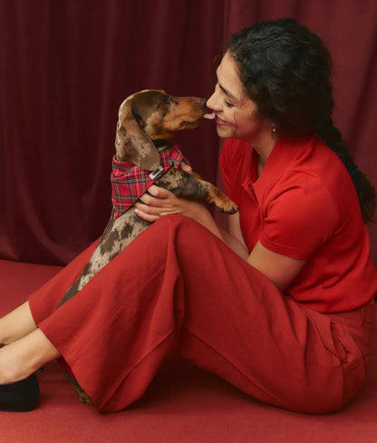 CAFIDE - Hundehalstuch „Royal Stewart Tartan“ – Nata