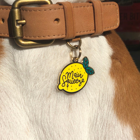 TWO TAILS PET COMPANY - Main Squeeze Pet ID Tag
