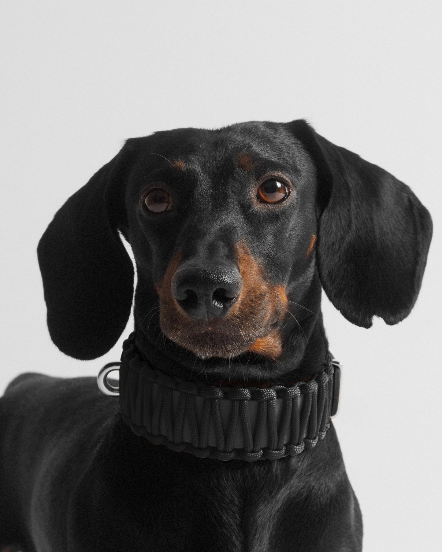 VALKA KUKUR - GALAN COLLAR in Black Jack