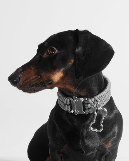 VALKA KUKUR - BOLD COLLAR in Werewolf Gray