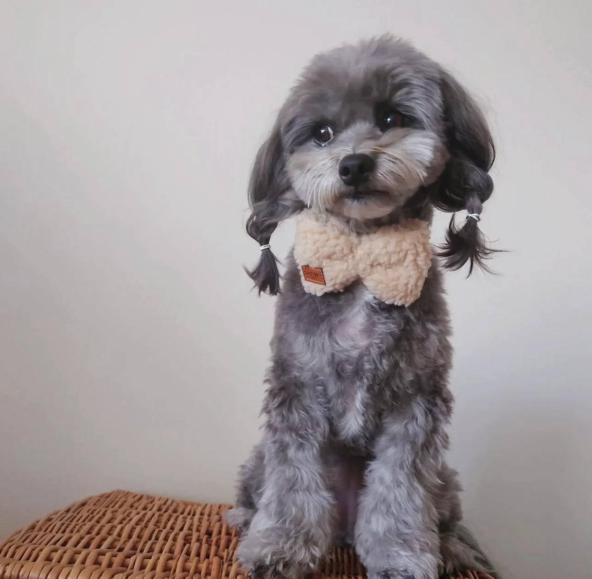 DREW’S DOGWEAR - Teddy-Fliege fürs Hundehalsband – Beige