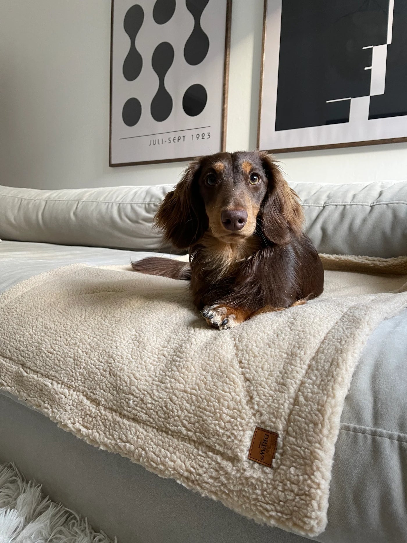 DREW'S DOGWEAR - Soft Teddy Fleece Dog Blanket (beige)