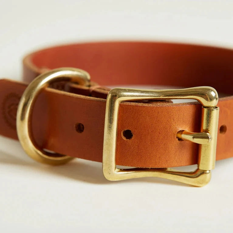 HELEN WELLS - Collar CLASSIC COGNAC