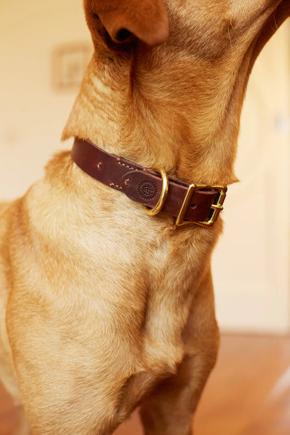 HELEN WELLS - Collar CLASSIC CHESTNUT - OSSO BLU