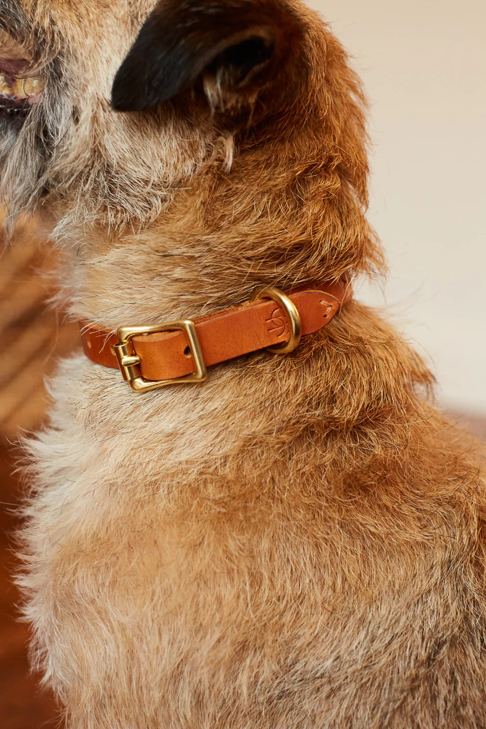 HELEN WELLS - Collar CLASSIC COGNAC