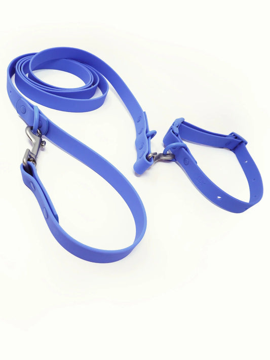 PAWPOPZ - Halsband & Leine Set - Blau