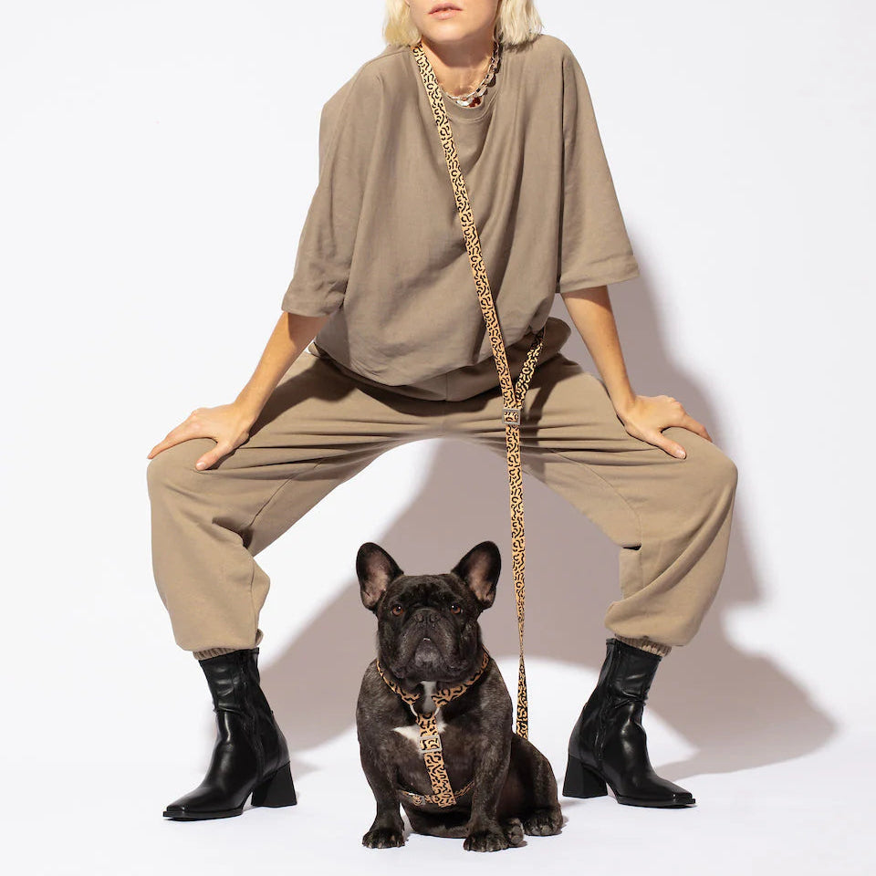 HOT DOGGIES - Freihandleine „Coco Noir“