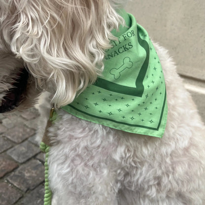 DREW'S DOGWEAR – LIME Hundebandana – Stylisches Halstuch für Hunde - OSSO BLU