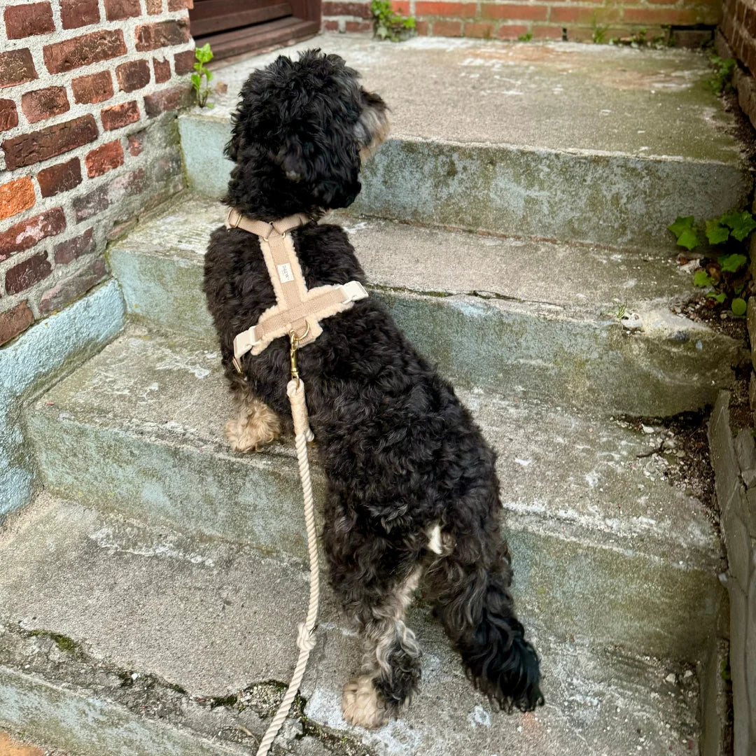 DREW'S DOGWEAR - Teddy Harness (beige)
