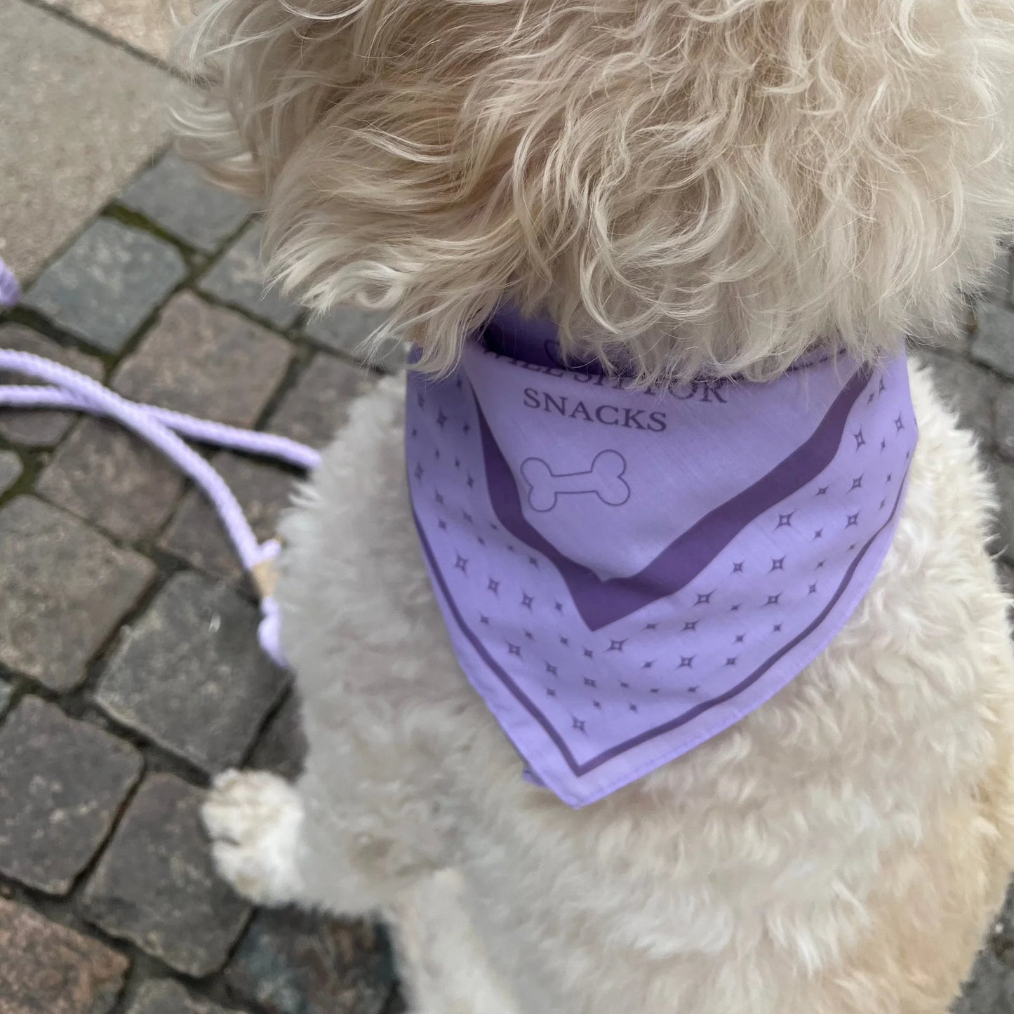 DREW'S DOGWEAR – LILAC Hundebandana – Stylisches Halstuch für Hunde - OSSO BLU