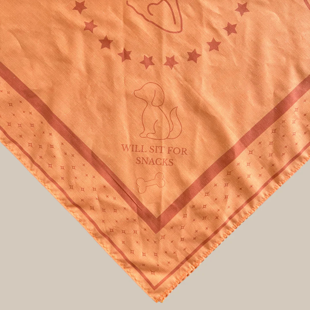 DREW'S DOGWEAR – PEACH Hundebandana – Stylisches Halstuch für Hunde - OSSO BLU