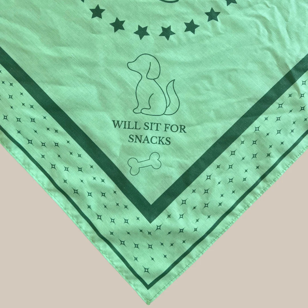 DREW'S DOGWEAR – LIME Hundebandana – Stylisches Halstuch für Hunde - OSSO BLU