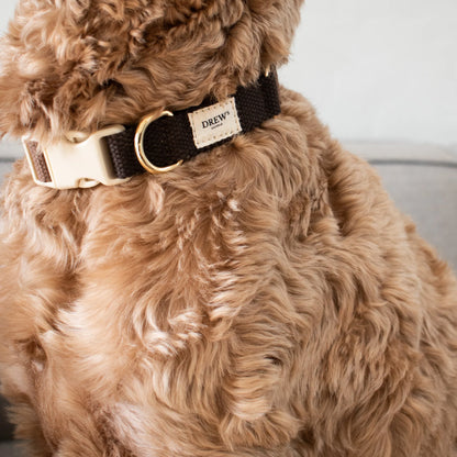 DREW'S DOGWEAR - Weiches & verstellbares Hundehalsband Chocolate