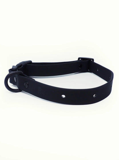 PAWPOPZ – Personalisiertes Hundehalsband - Schwarz