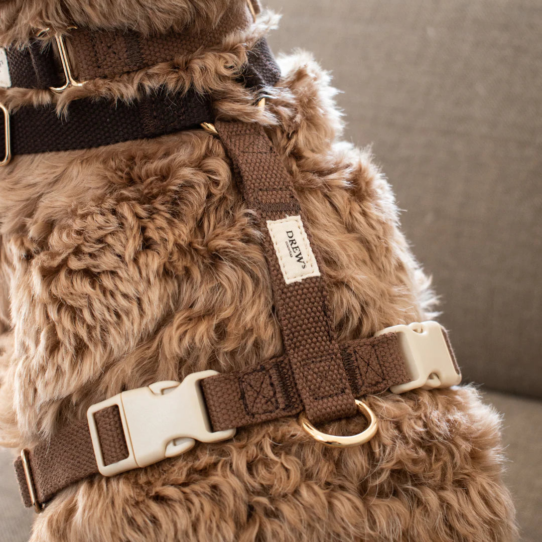 DREW'S DOGWEAR - Verstellbares Hundegeschirr Chocolate mit goldenen Details