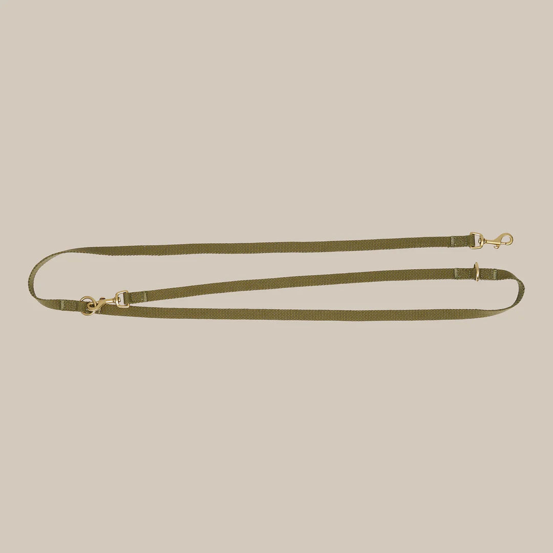 DREW'S DOGWEAR - Verstellbare Hundeleine aus Baumwolle – Olivgrün (2 Meter)