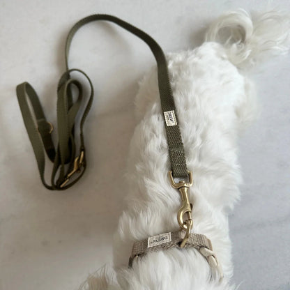DREW'S DOGWEAR - Verstellbare Hundeleine aus Baumwolle – Olivgrün (2 Meter)