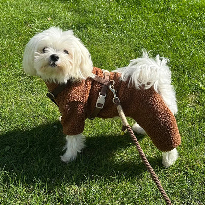 DREW'S DOGWEAR - MILO // Hundepullover aus weichem Teddymaterial – Braun