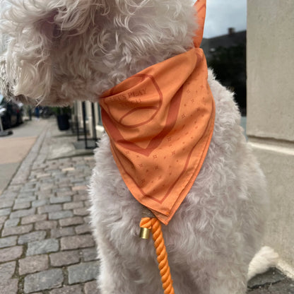 DREW'S DOGWEAR - Stylisches Hundehalstuch für mittlere und große Hunde (Orange) - OSSO BLU