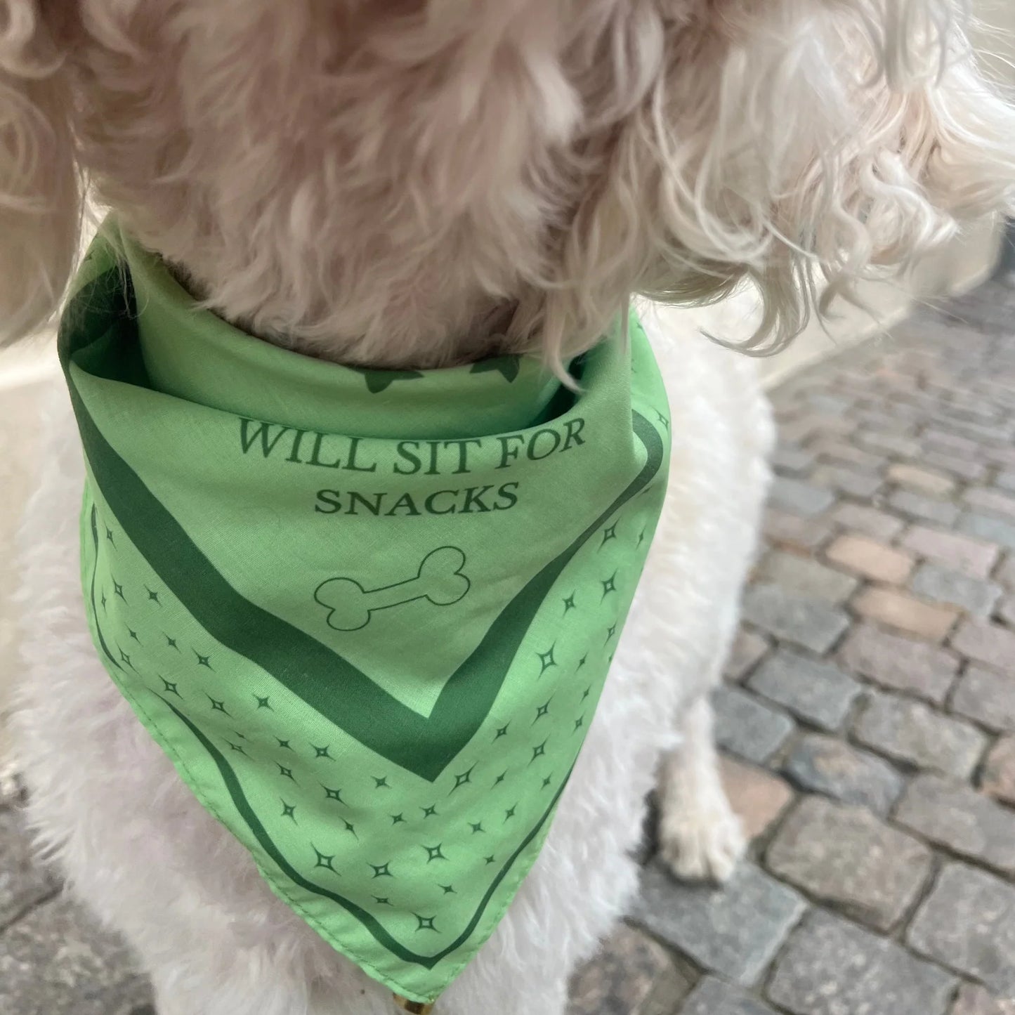 DREW'S DOGWEAR - Stylisches Hundehalstuch für mittlere und große Hunde (Grün)