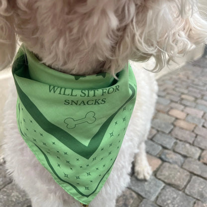 DREW'S DOGWEAR - Stylisches Hundehalstuch für mittlere und große Hunde (Grün) - OSSO BLU