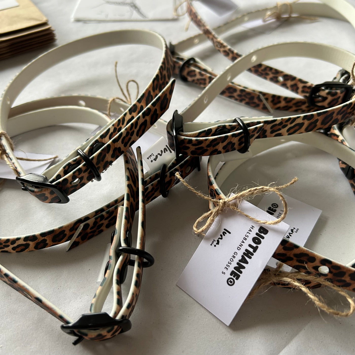 LUNA.LIEBE - Aqua BioThane® Halsband in Leo (13 mm)