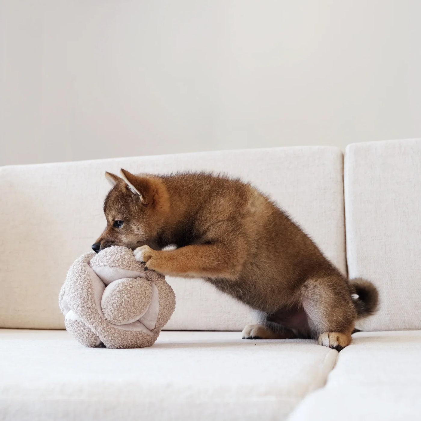 LAMBWOLF COLLECTIVE - MONTI Sniffing Ball Oat