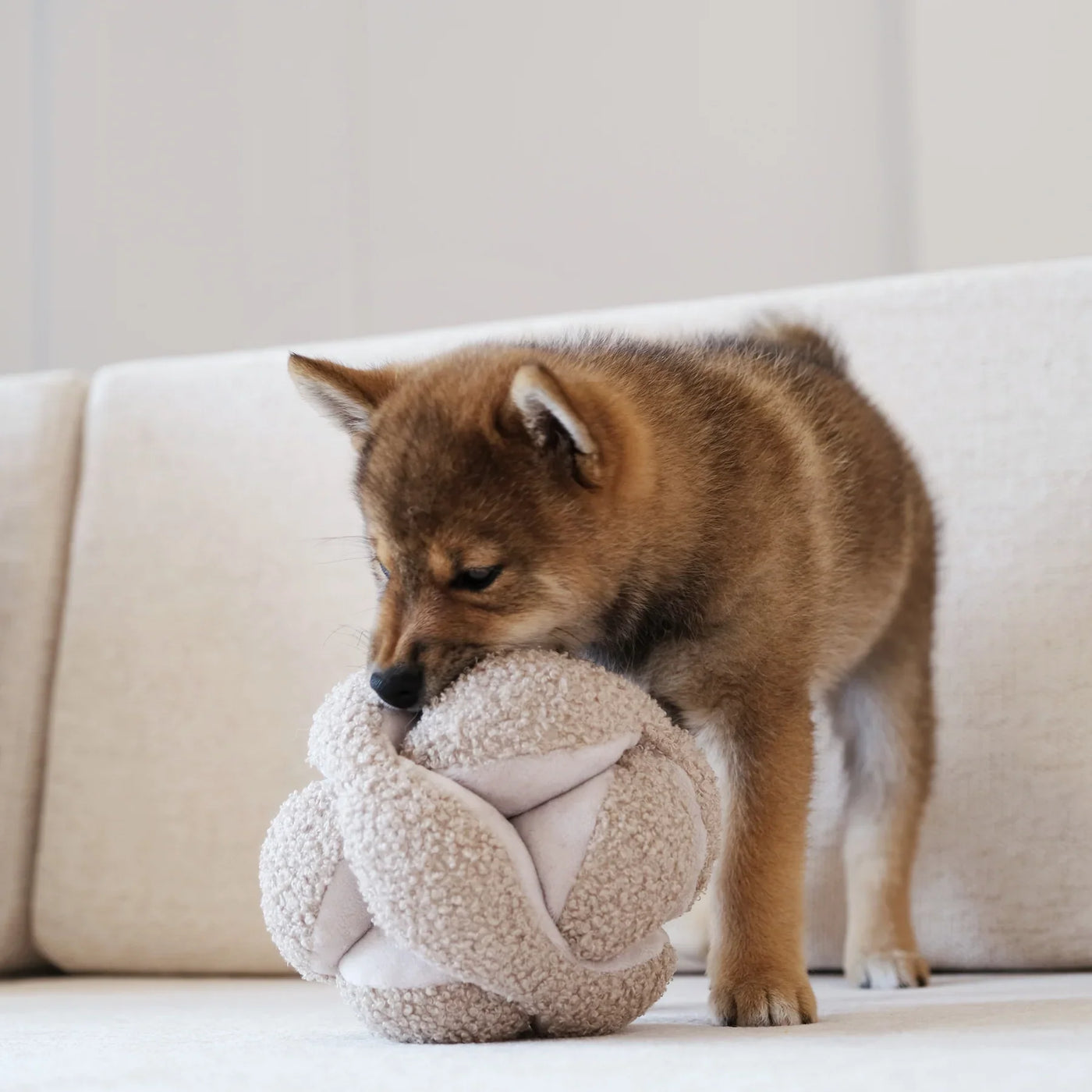 LAMBWOLF COLLECTIVE - MONTI Sniffing Ball Oat