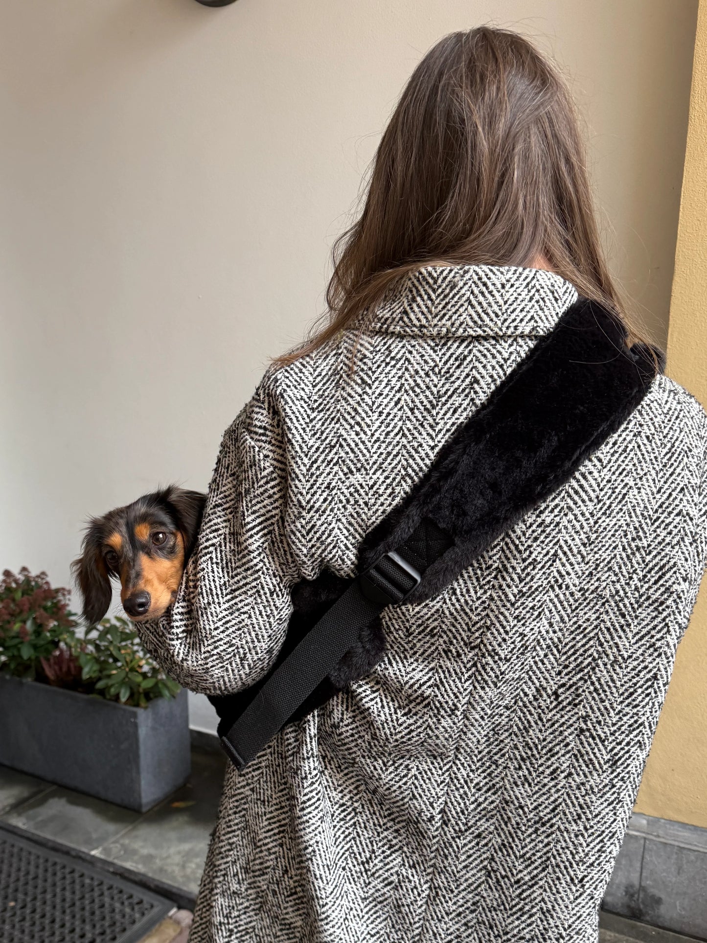 THE DOG LABEL - TDL – Fluffy Schwarz