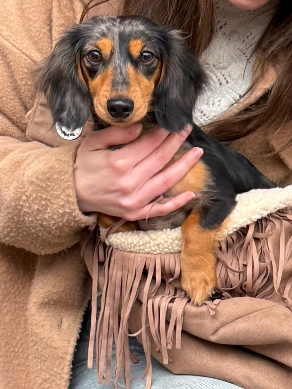 THE DOG LABEL - TDL – Fringe Bag