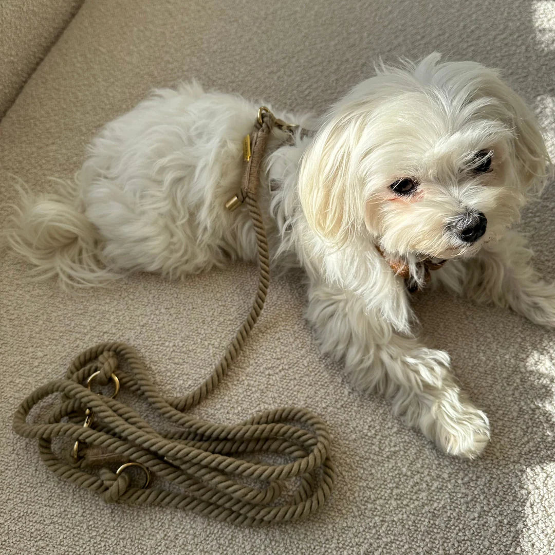 DREW'S DOGWEAR - KHAKI / Adjustable and soft dog leash