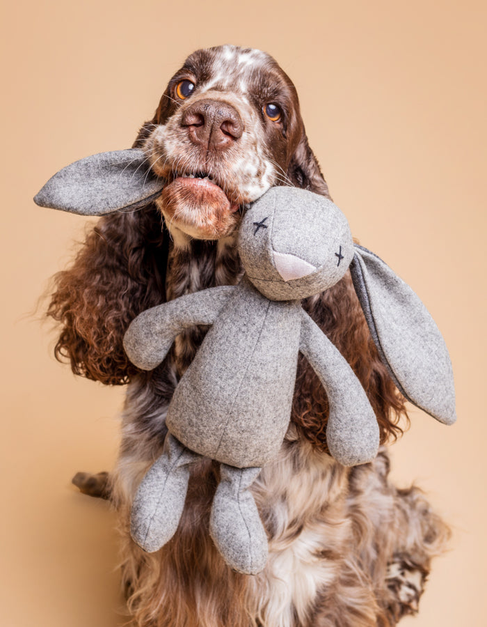 LILLABEL - Plush Toy for Dogs – Rabbit RUPERT