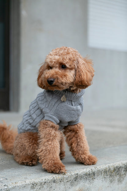 OSSO BLU - Wool dog sweater in grey