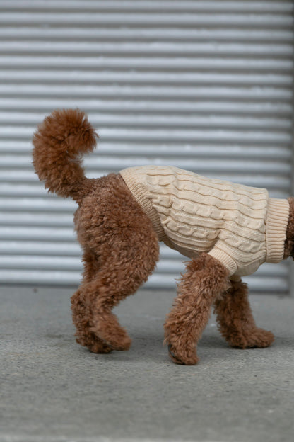 OSSO BLU - Wool dog sweater in beige