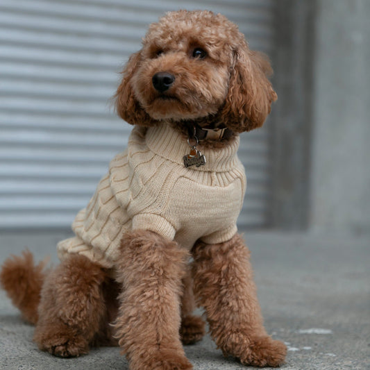 OSSO BLU - Wool dog sweater in beige