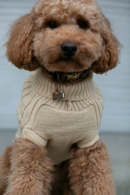 OSSO BLU - Wool dog sweater in beige