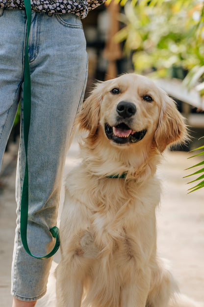 SUNNY TAILS - Meadow Green 4-in-1 Convertible &amp; Multifunctional Dog Leash