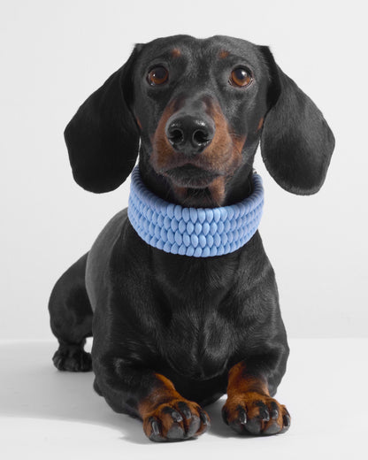 VALKA KUKUR - BOLD COLLAR in Baby Blue