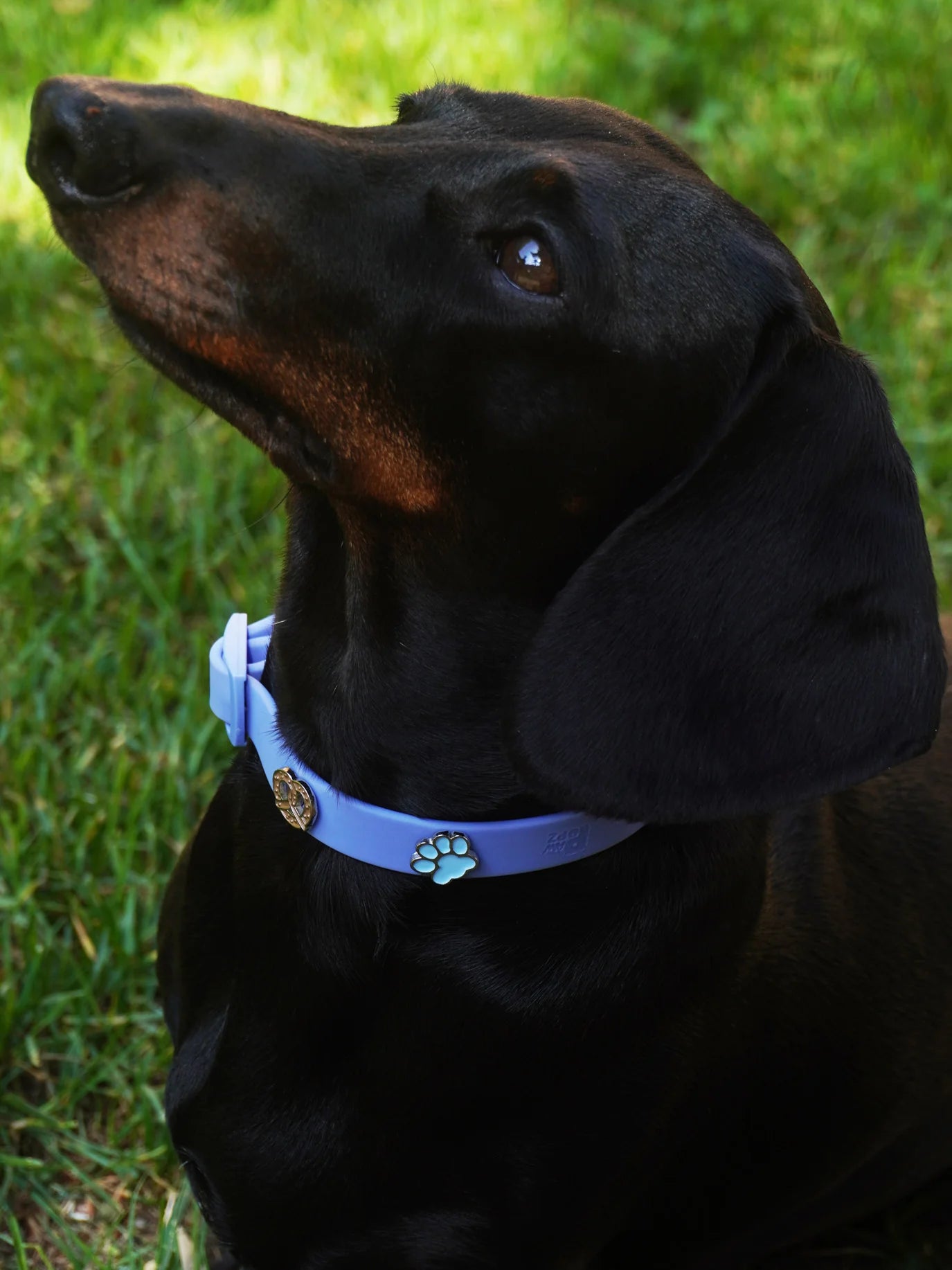 PAWPOPZ – Charm „Pfote“